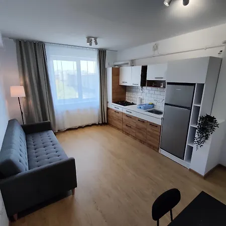 فندق Fanea تيميشورا