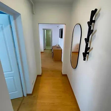 Fanea * Timişoara