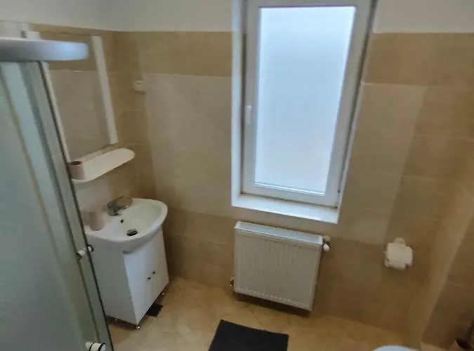 Fanea * 蒂米什瓦拉