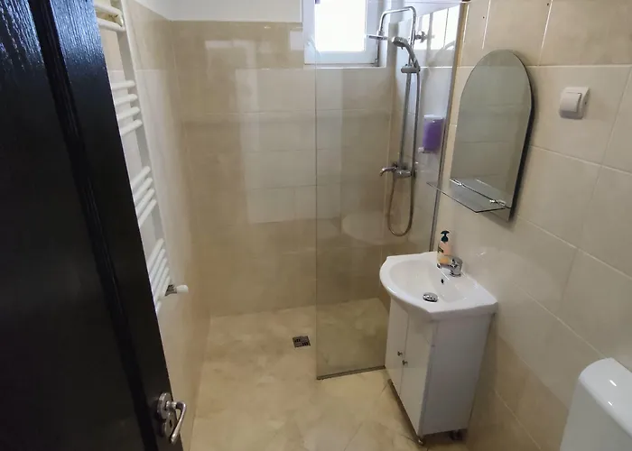 Hotell Fanea Timişoara