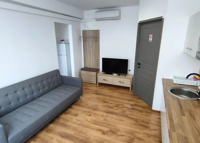 Hotell Fanea Timişoara