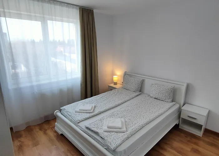 Hotell Fanea Timişoara